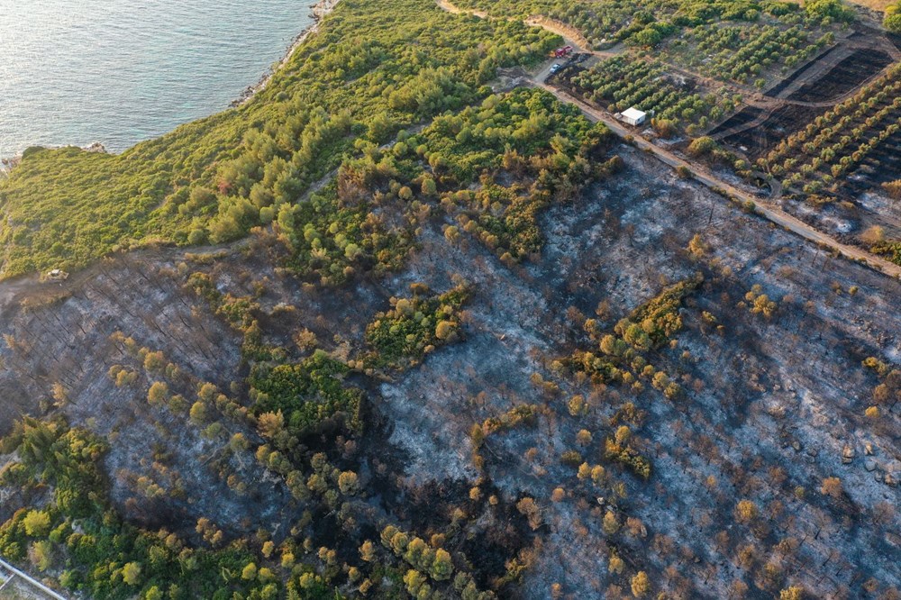 İzmir'de Aliağa ve Menderes'te orman yangını - 4