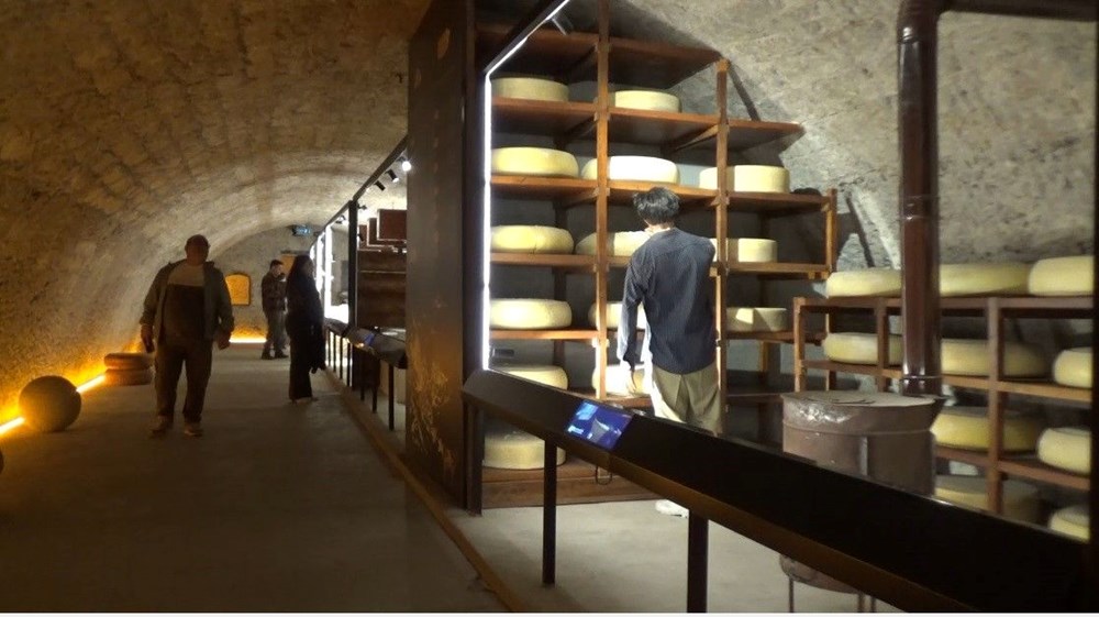 Türkiye'nin Gururu: Peynir Müzesi, Dünyanın En Seçkin Rotasında! 74