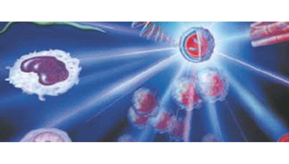 Akdeniz Anemisi Onlenebilir Saglik Haberleri Ntv