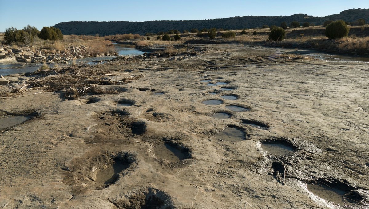 Bin 700 kilometre boyunca yolculuk yapan kayaların gizemi: Dinozorlar mı taşıdı?
