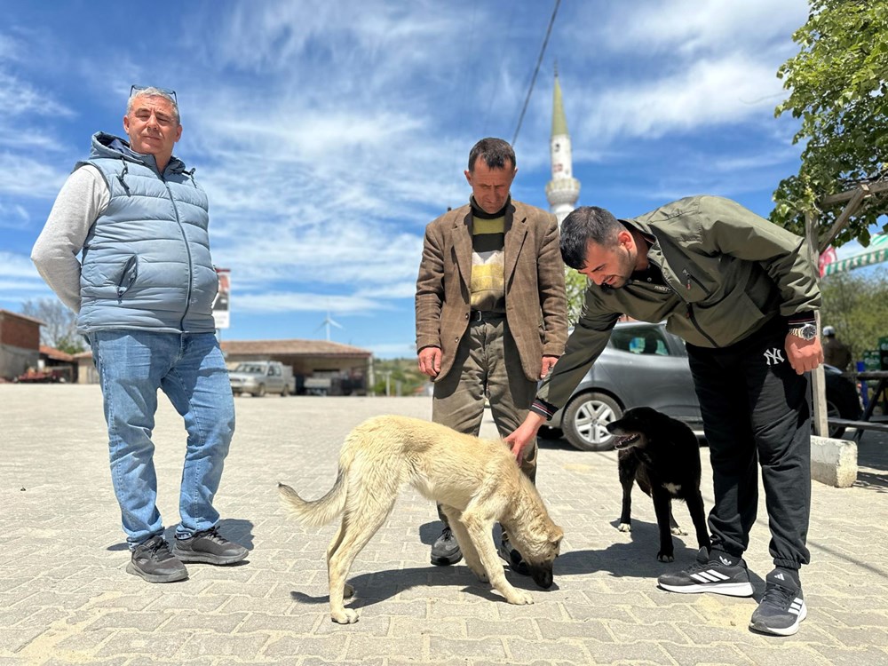 Bunun adı canilik! Bastonuyla köpeğe defalarca vurdu, "Bobi" kanlar içinde kaldı - 6