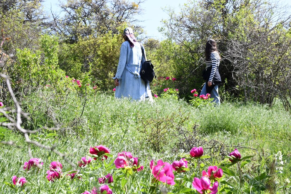 Ömrü 15 gün: Koparmanın cezası 557 bin lira 73