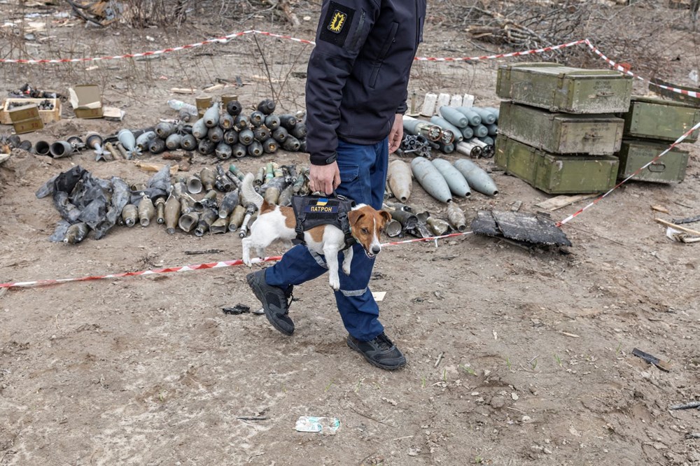 Ölen insanlarla birlikte bir ay boyunca bodrumda yaşadılar: Ukrayna'nın Yahidne köyünde yaşanan trajedi ortaya çıktı - 15