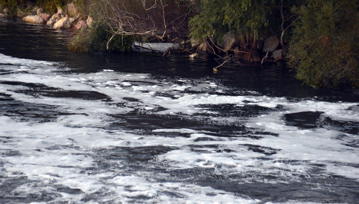 Ceyhan Nehri'nde tedirgin eden görüntü