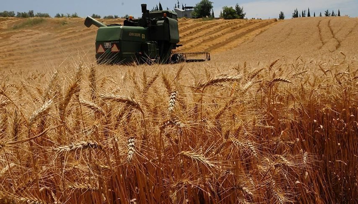 Tahıl anlaşmasının uzatılacağı beklentileri buğday fiyatlarını düşürdü