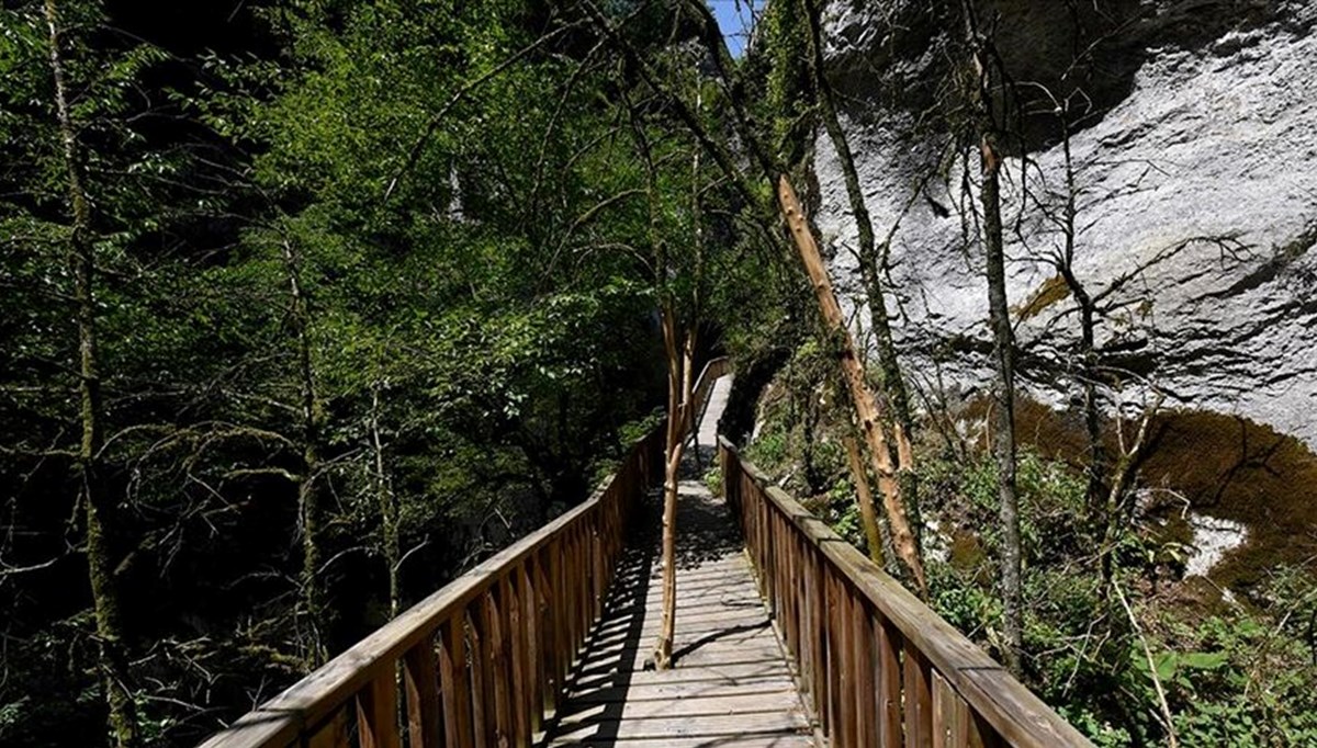 Horma Kanyonu'na ağaç kesilmeden yapılan yürüyüş yolu ziyaretçi sayısını üçe katladı Horma Kanyonu'na ağaç kesilmeden yapılan yürüyüş yolu ziyaretçi sayısını üçe katladı