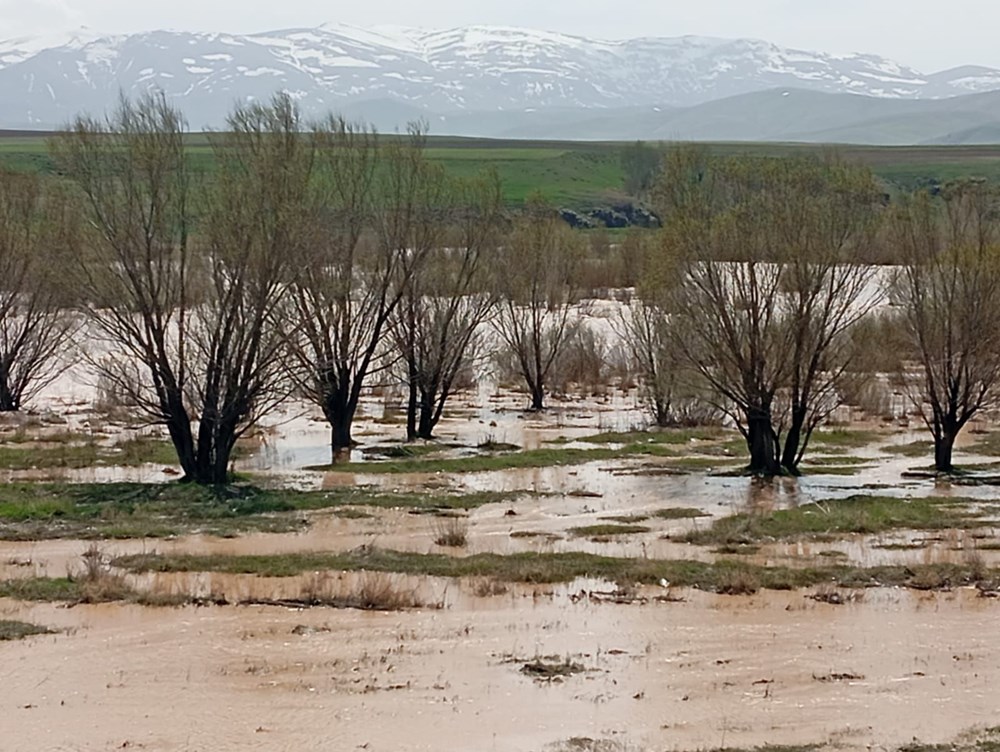 Murat Irmağı taştı: Tarım yerleri su altında kaldı 72 UJu j0sotkegCJPbzdiv3g
