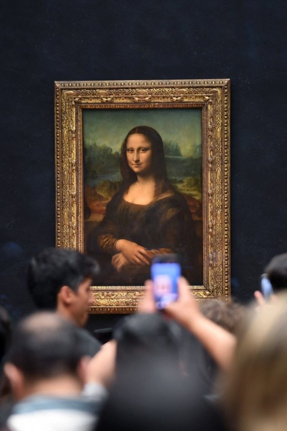 Jeff Bezos'un Mona Lisa'yı yemesi için kampanya - 2