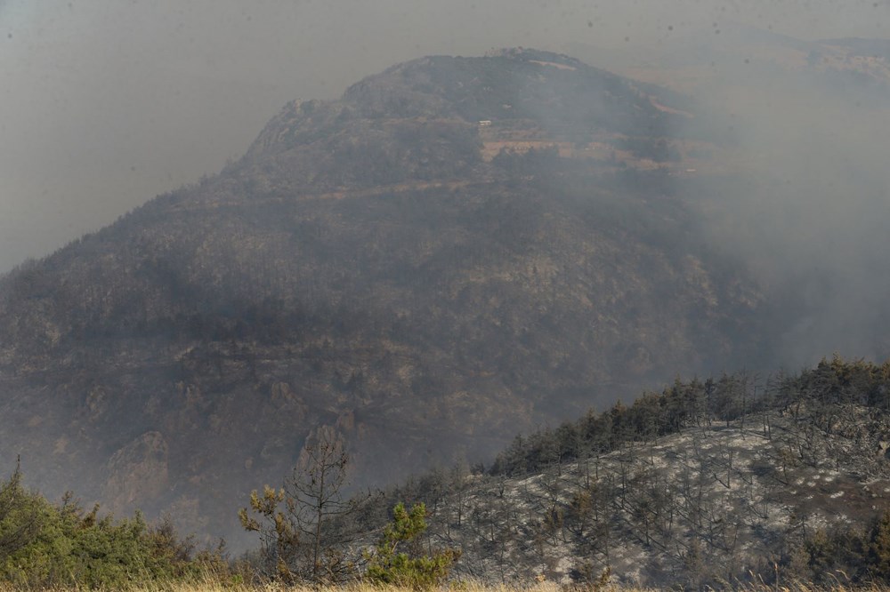 Yangın felaketinde son durum: "Gökyüzü mavi değil, güneşin bile rengi değişti" - 38
