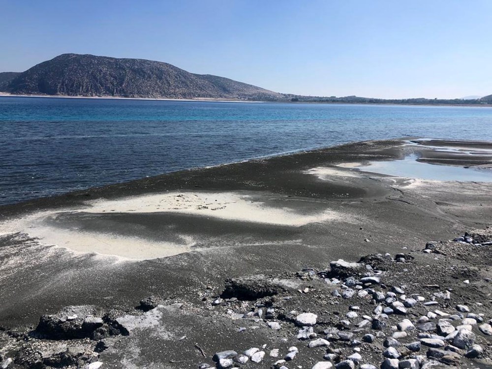 Salda Gölü'nde salyalaşma ve kararma tehlikesi - 4