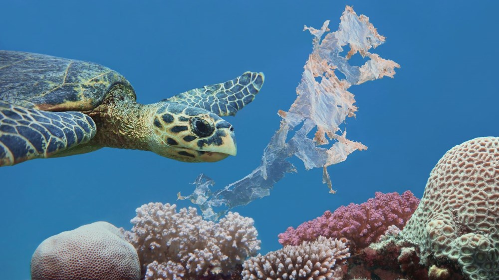 Deniz ve okyanuslardaki mikroplastik kirliliğinin esas sorumlusu bulundu: Otomobillastikleri - 6