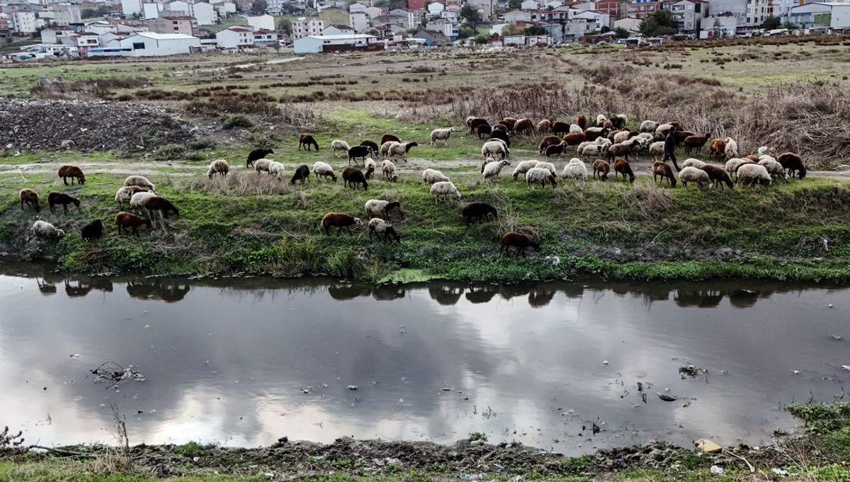 Siyaha büründü, kirlilik saçıyor: Ağır bir koku var