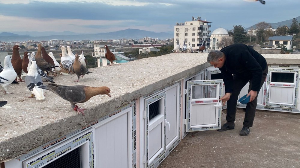 UQgeKXL48kqKPggkwDbWhw