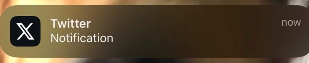 Twitter, Apple Store engeline takıldı: X ismine geçemiyor - 4