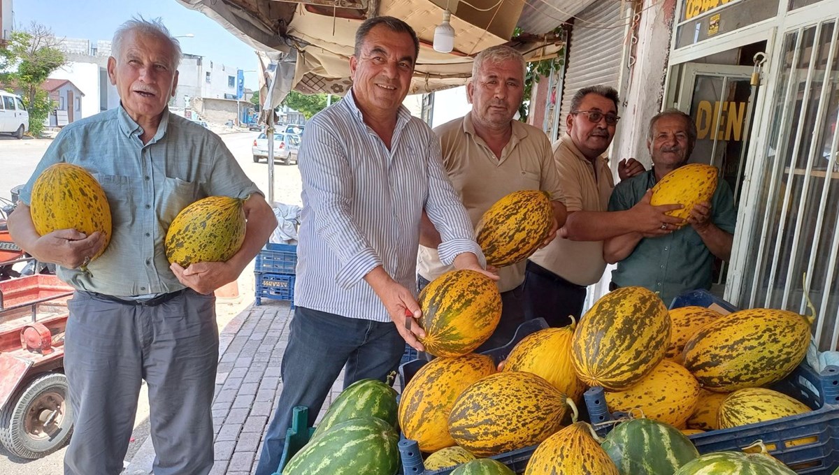 Tarlada kilosu 9-10 TL: Tezgahta yerini aldı