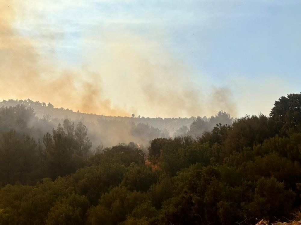 Yangın felaketinde son durum: "Gökyüzü mavi değil, güneşin bile rengi değişti" - 32