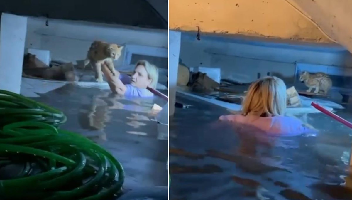 Antalya'da AFAD gönüllüsü, selde mahsur kalan kediyi böyle kurtardı