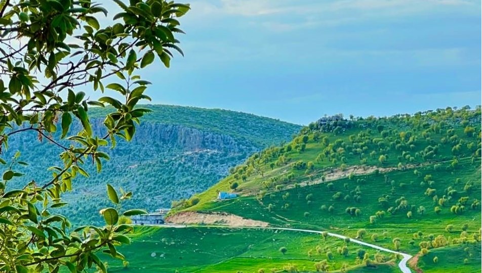 Diyarbakır'da baharın ahengi göz kamaştırdı