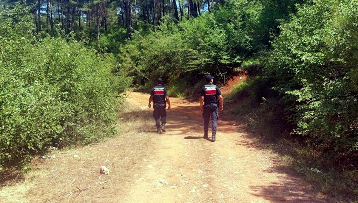 Muğla'da ormanlara girişler yasaklandı