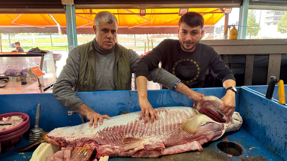 3 Turna Balığı Destanı: Bir Saatte Yok Oldular! 73 Ub3qX08aCEKXM8SFibMa8Q