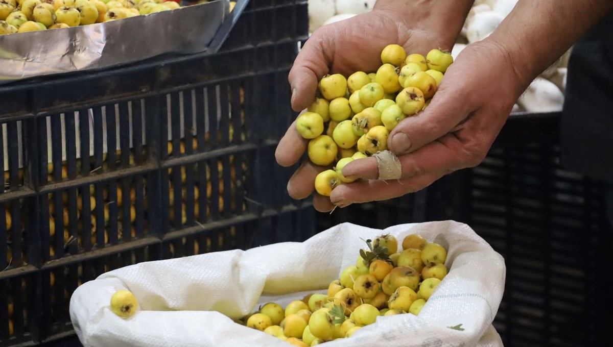 Dalından tek tek toplanmaya başladı: 