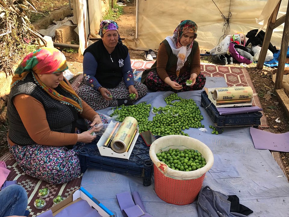 Yılın ilk eriği, kilosu 600 liradan satıldı - 1