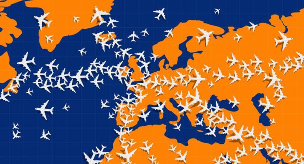 Bu görsel size kim olduğunuzu söylüyor: Resimde ilk önce hangi hayvanı gördünüz? - 23