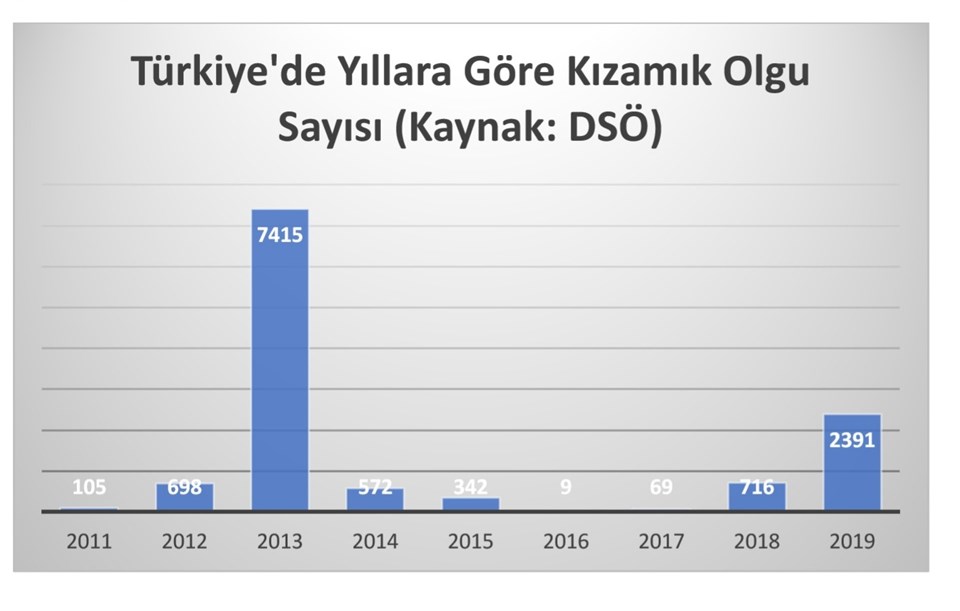 Kızamık vakaları 3 kat arttı! (DSÖ salgın alarmı verdi, Türkiye’de durum ne?) - 1