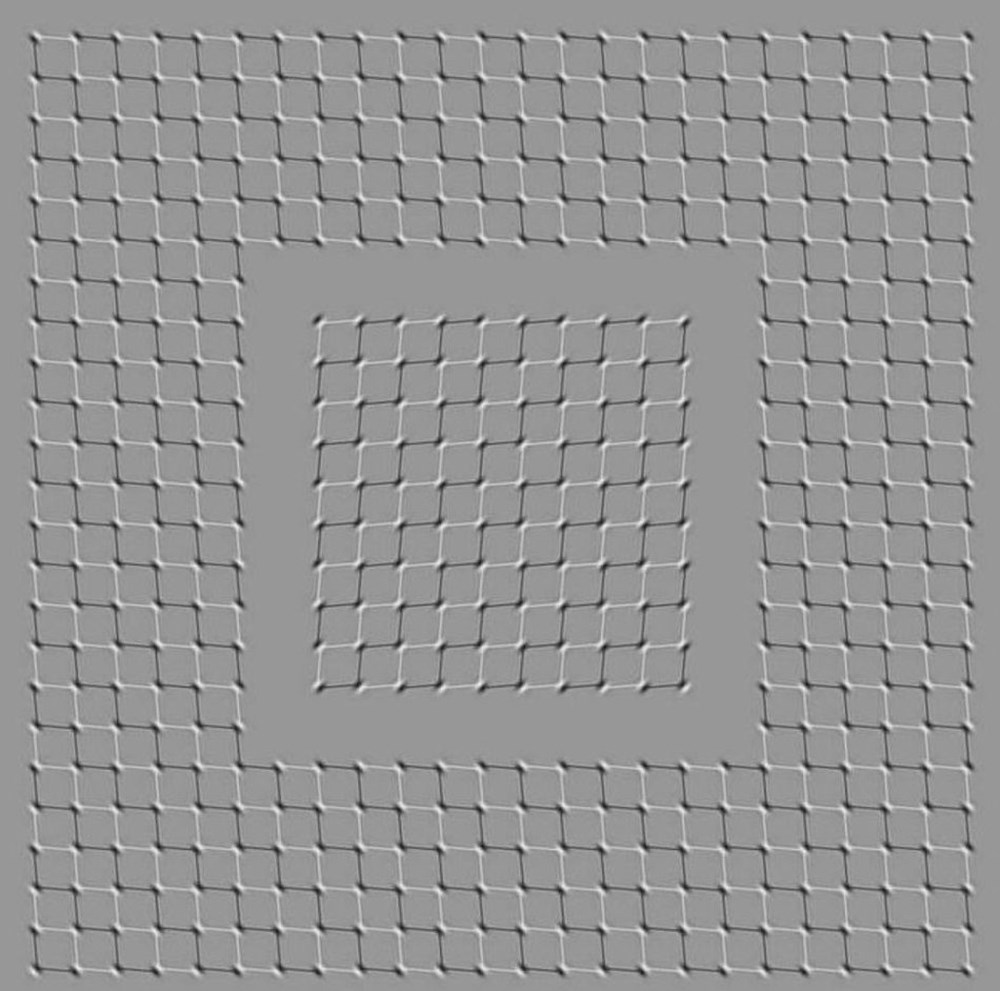 Bu görsel size kim olduğunuzu söylüyor: Resimde ilk önce hangi hayvanı gördünüz? - 11