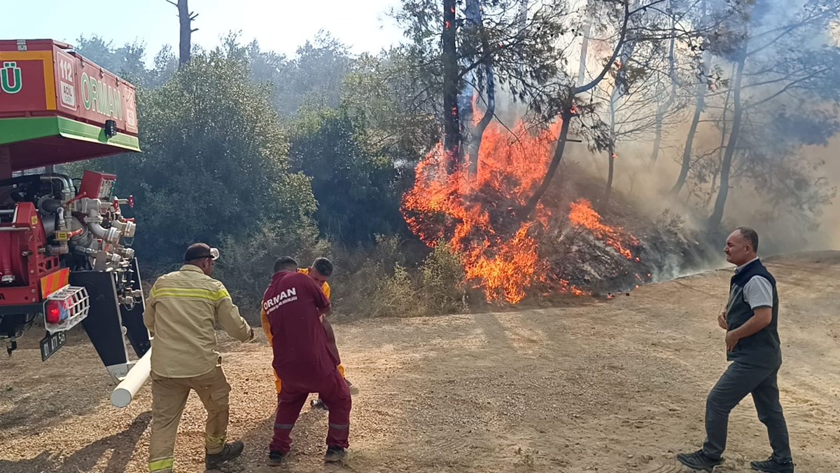 Adana’da orman yangını: Sert esen poyraz müdahaleyi zorlaştırıyor