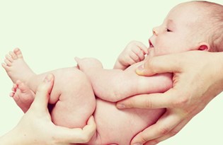 embriyo kulturunden genetik tani tup