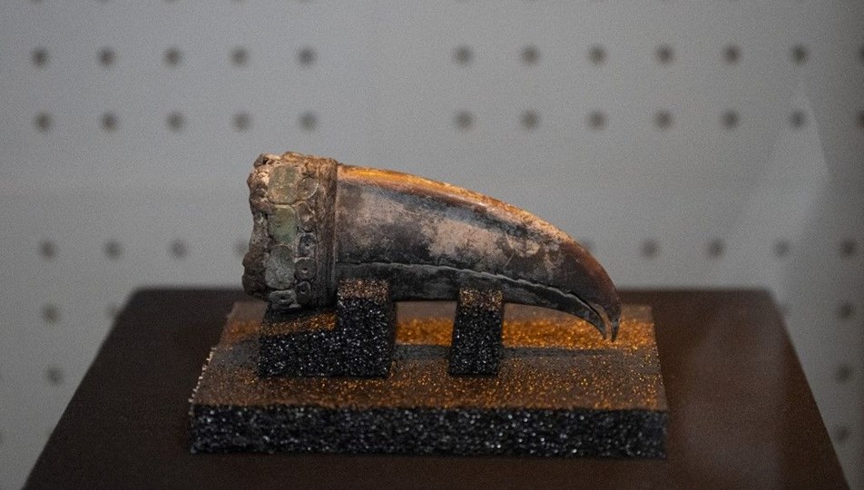 Antik uygarlığa ışık tutacak: 5 bin yıllık soylu kadın mezarı bulundu!