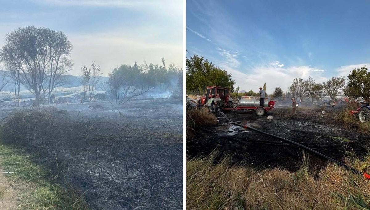 Eskişehir'de anız yangını