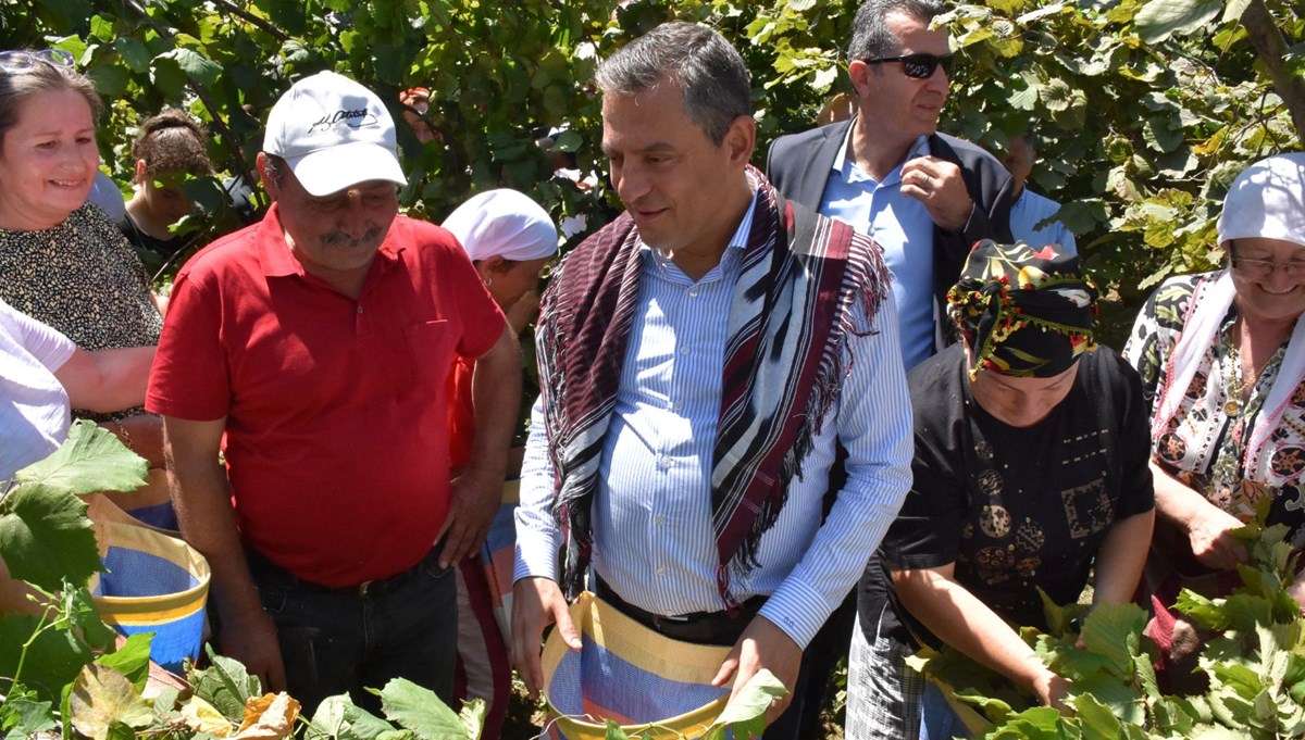 Özgür Özel'den fındık alım fiyatlarına tepki: Özgür Özel'den fındık alım fiyatlarına tepki: