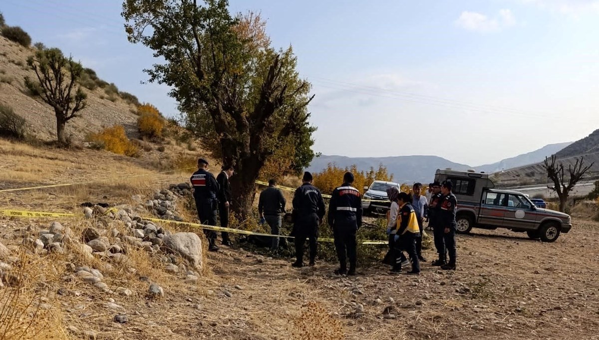 Ağaç budarken düşen yaşlı adam hayatını kaybetti Ağaç budarken düşen yaşlı adam hayatını kaybetti