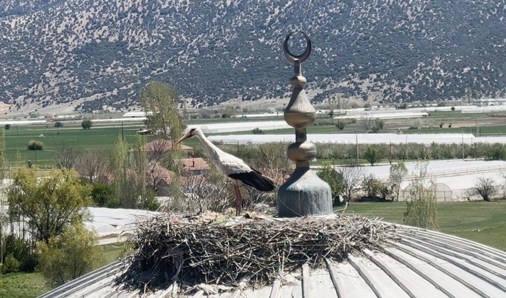 UkVNzOlOUkuFDAG4cnwGkA