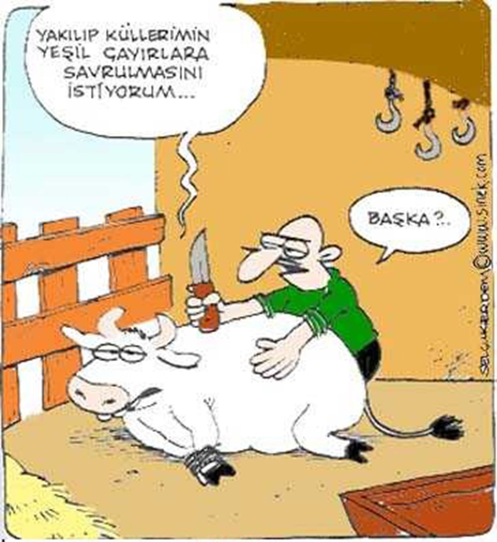 Курбан байрам карикатура