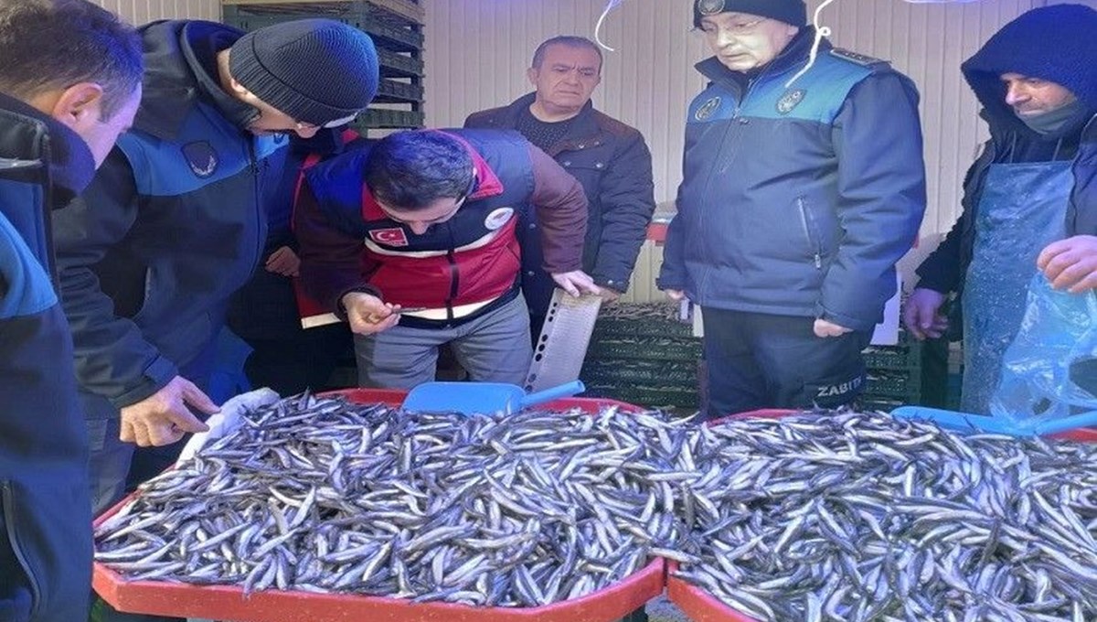 Semt pazarında balık denetimi: Boyları tek tek ölçüldü Semt pazarında balık denetimi: Boyları tek tek ölçüldü