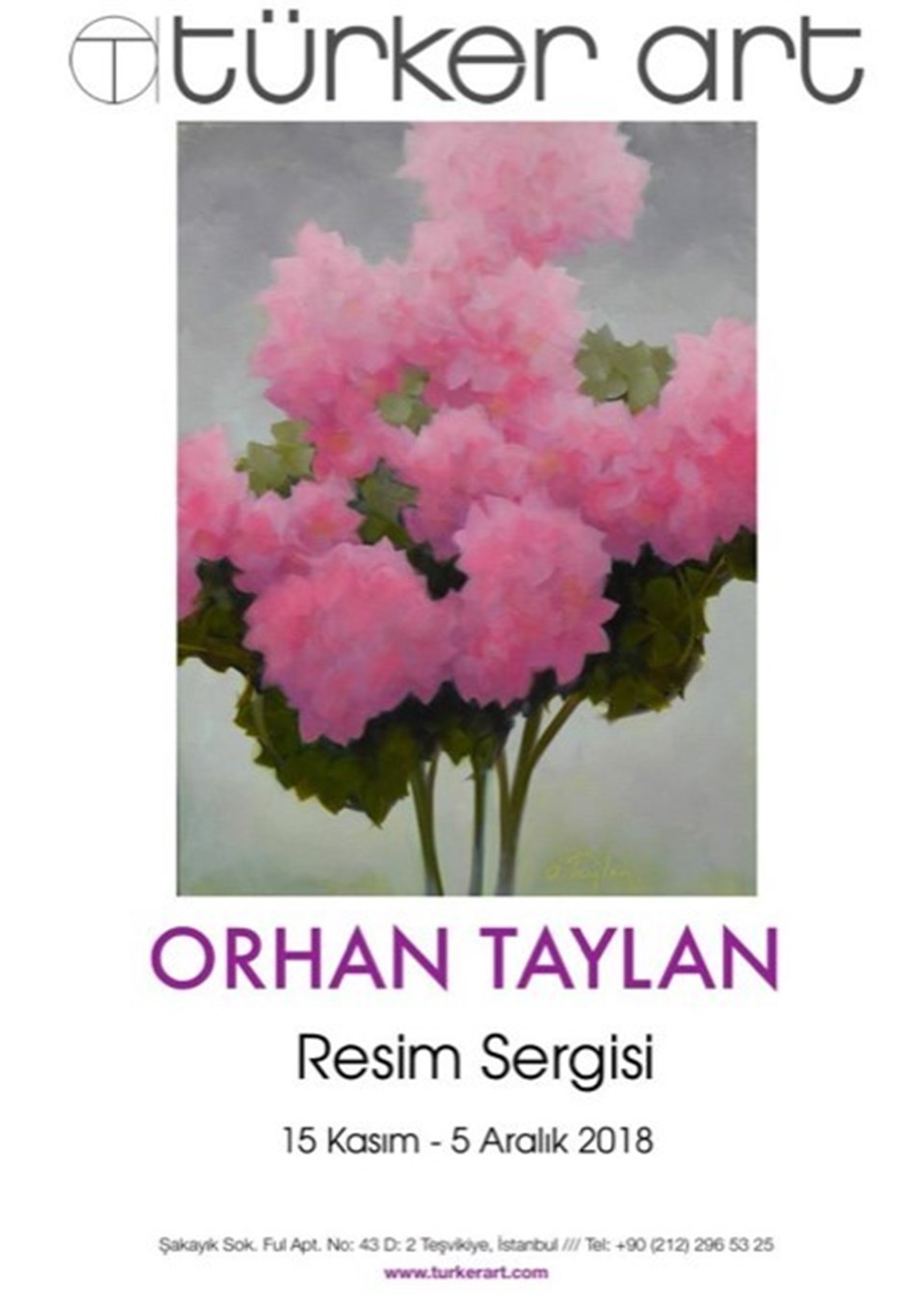 Orhan Taylan'ın solo sergisi ziyarete açıldı (Türker Art, Teşvikiye) - 1