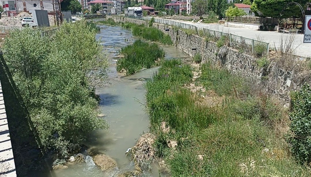Sivas'ta tedirgin eden görüntü! Yetkililerden "uzak durun" çağrısı