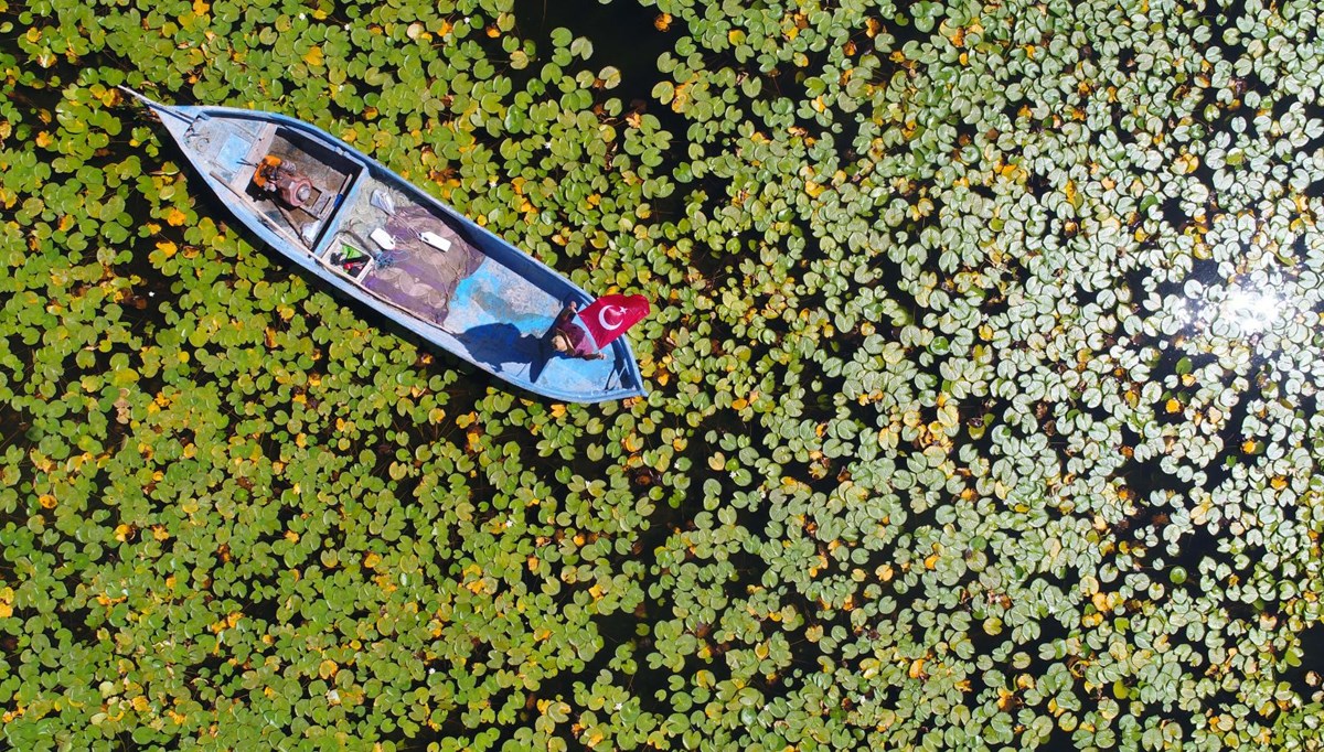 Türkiye'nin nilüfer bahçesi: Beyşehir Gölü
