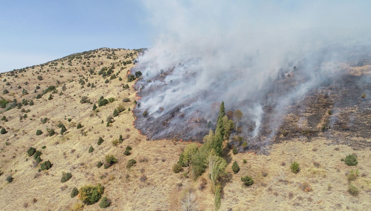 Sivas'ta otluk ve ağaçlık alanda yangın