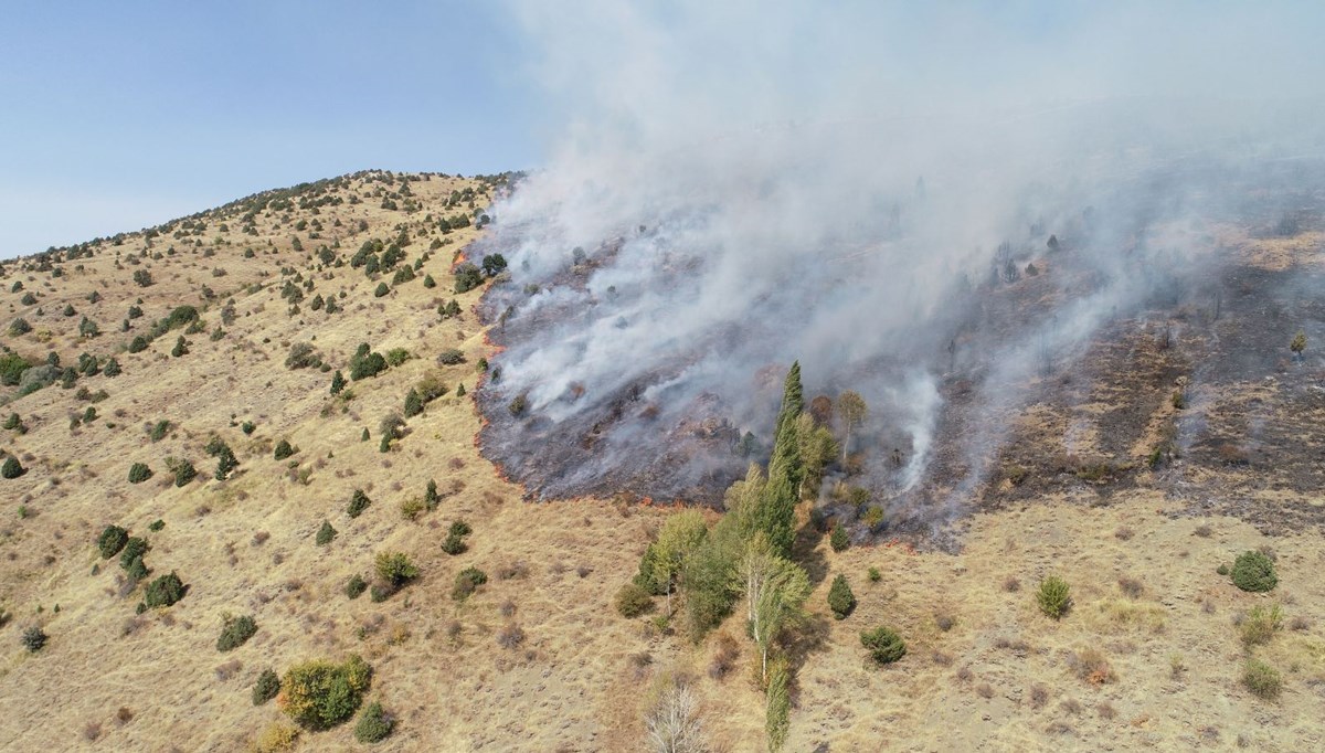 Sivas'ta otluk ve ağaçlık alanda yangın Sivas'ta otluk ve ağaçlık alanda yangın