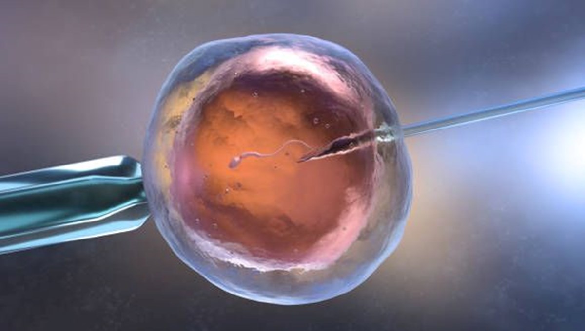 Sperm nedir?