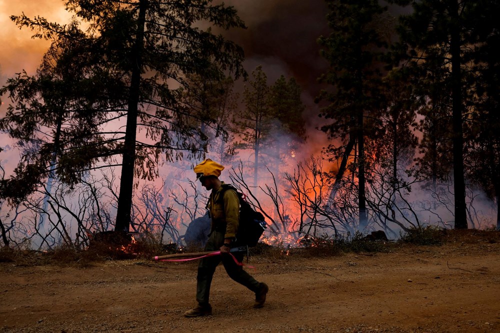 California'da orman yangını: 11 bini aşkın kişi tahliye edildi - 11