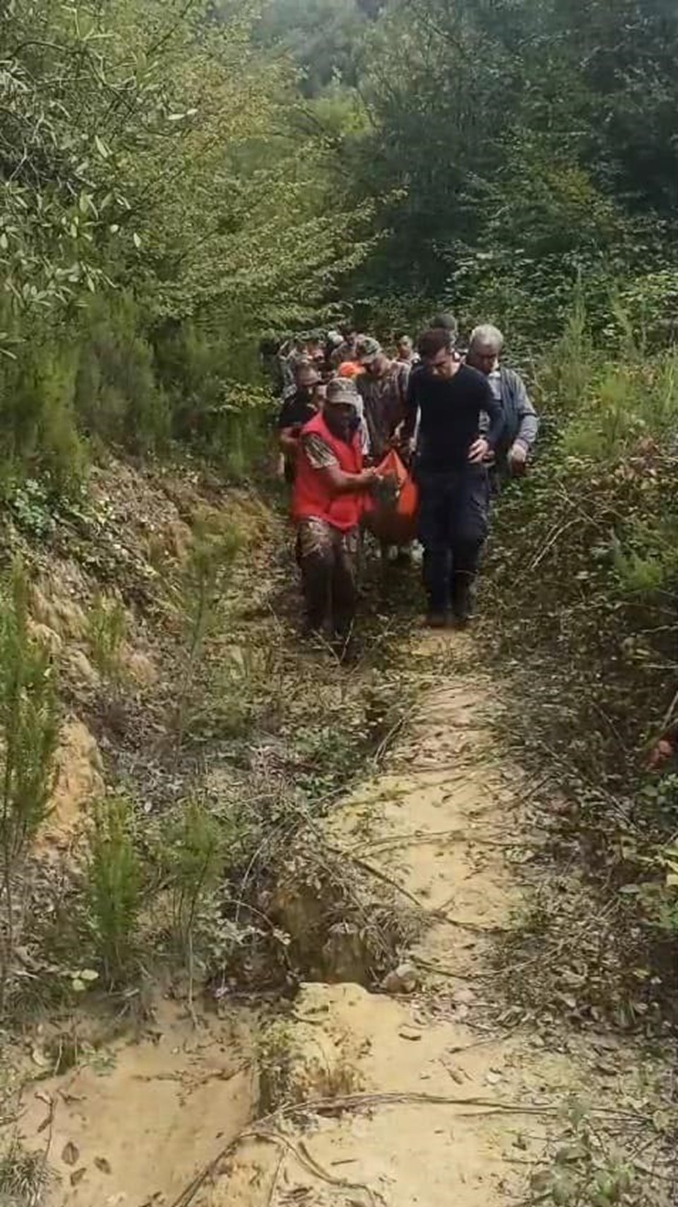 Defne yaprağı toplarken kayboldu: Yaşlı kadından iyi haber - 1