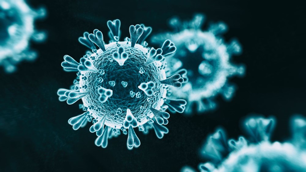 Corona virüs ve grip aynı anda ölüm riskini ikiye katlayabilir - 1