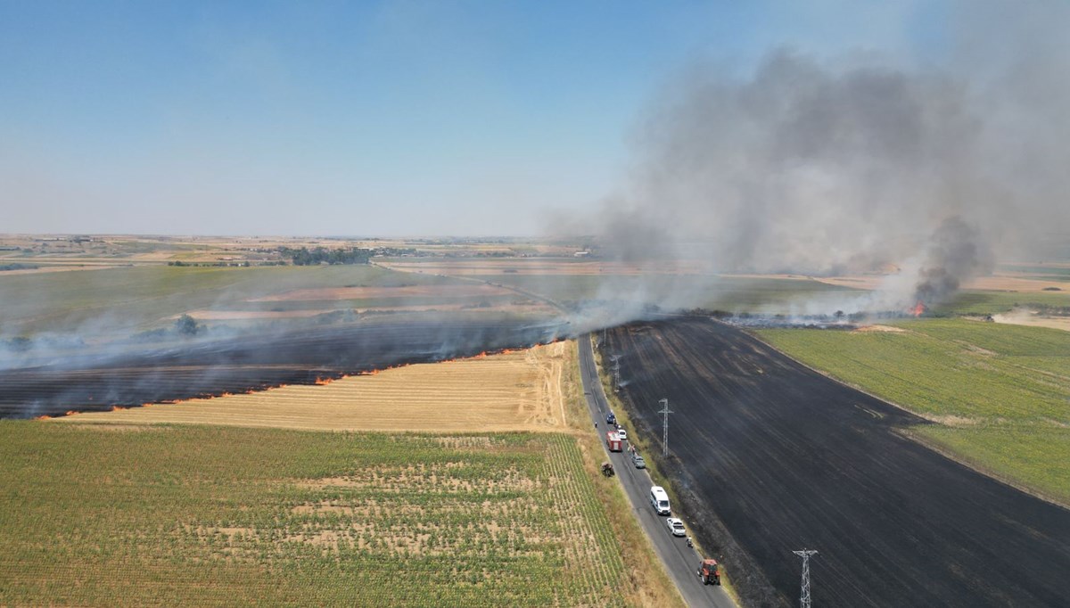 Tekirdağ'da tarım alanındaki yangın söndürüldü