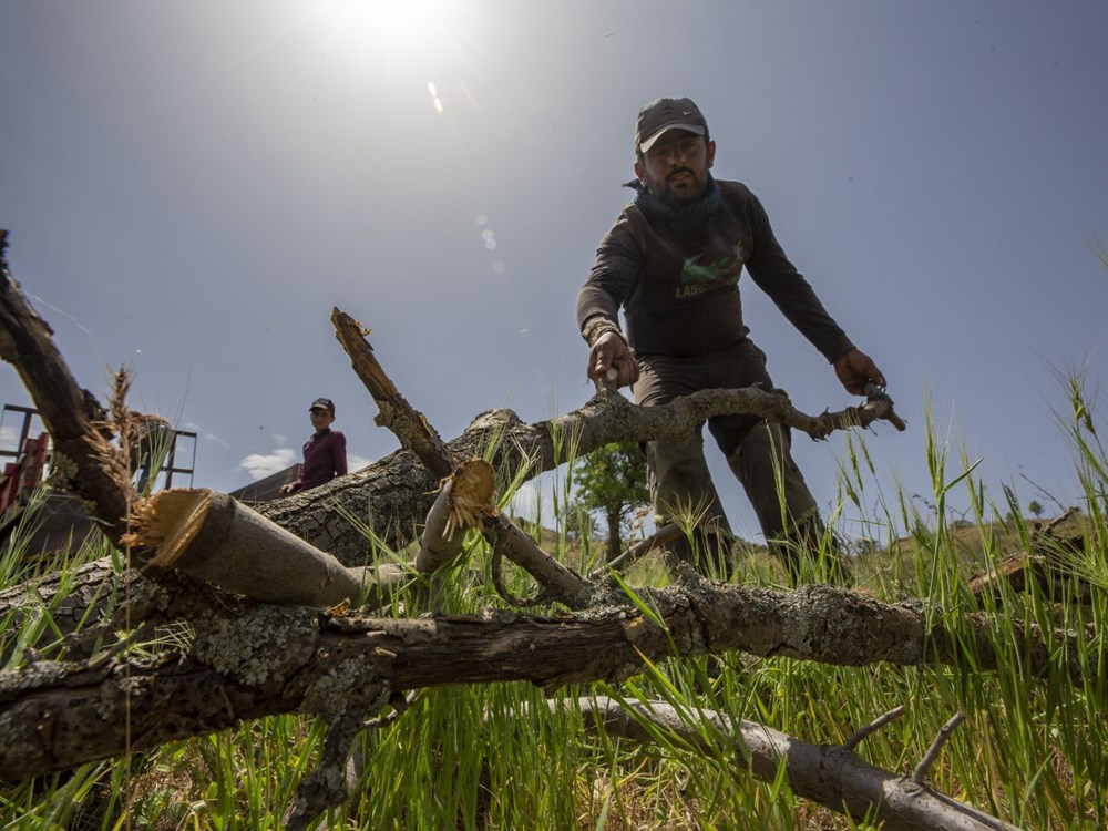 Ekmeklerini mangal kömüründen çıkarıyorlar - 6