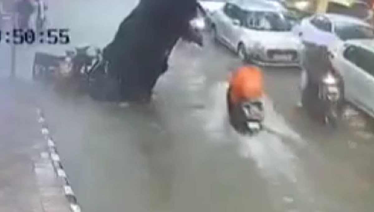 Ağaç, baba ve kızının üzerine devrildi